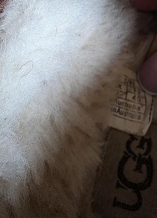 Женские тапочки ugg tazz slipper platform 6