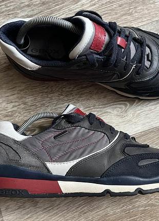 Кросівки geox gor-tex