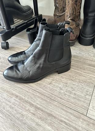 Челсі zara 40 р