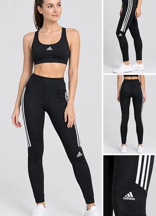 Спортивные лосины от adidas