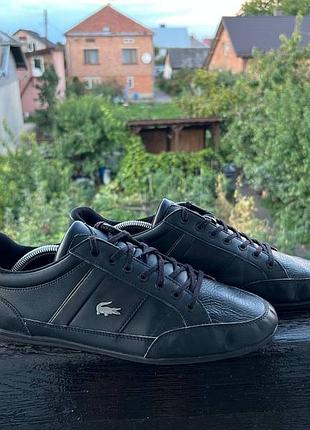 Кроссовки lacoste