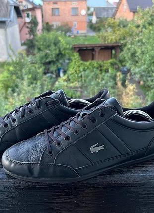 Кроссовки lacoste 3