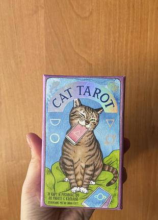 Карти таро з котиками car tarot