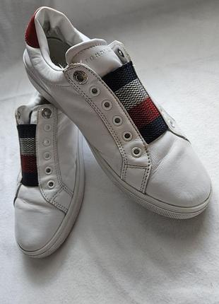 Tommy hilfiger, 38p, томі халфігер кросівки, снікерси
