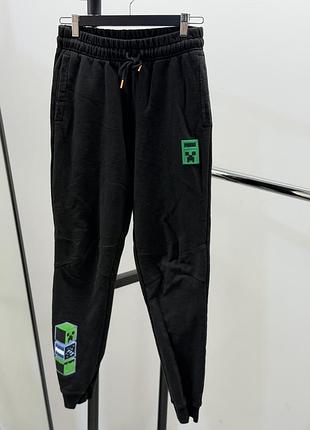 Спортивні штани puma minecraft s