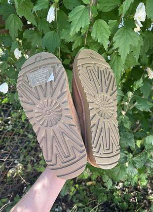 Ugg tasman оригінал 4