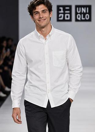 Сорочка чоловіча uniqlo біла l бавовна oxford (slim fit)