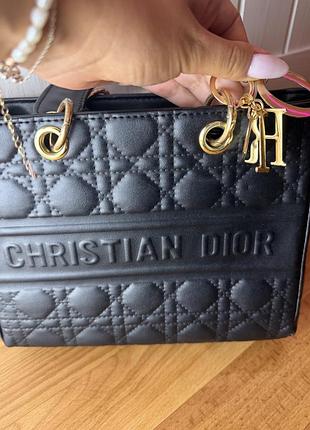 Сумка у стилі dior 3