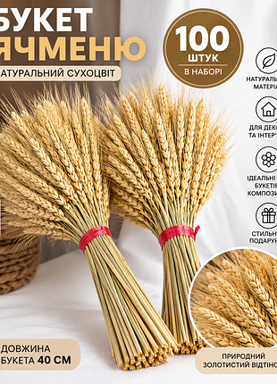 Букет  ячменю 100шт. 40см  букет сухоцвітів