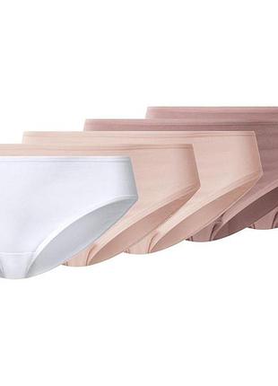 Трусики-сліп набір 5 шт. бавовняні для жінки esmara lycra® 508402 s рожевий