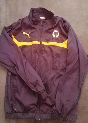 Олімпійка puma l