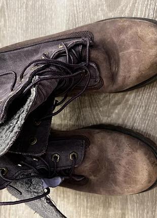 Фіолетові чоботи timberland 2