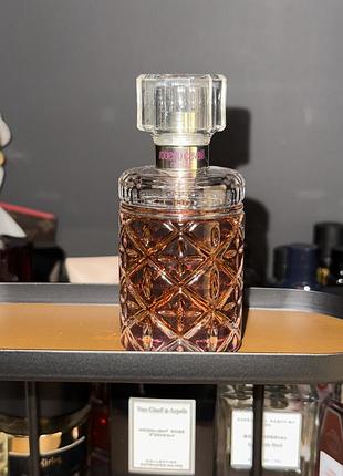 Roberto cavalli florence amber