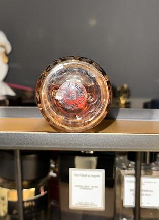 Roberto cavalli florence amber 2