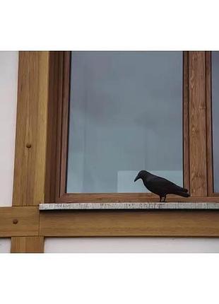 Садове приладдя пластиковий відлякувач птахів «ворон»