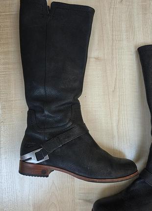 Кожаные высокие сапоги ugg (оригинал) - демисезонные сапоги угги с ремешком