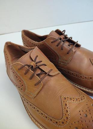 Стильні шкіряні туфлі clarks 5