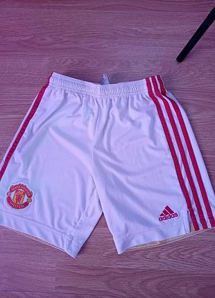 Футбольные шорты manchester united