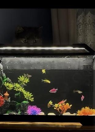 Акваріум xiaomi quange lazy fish white