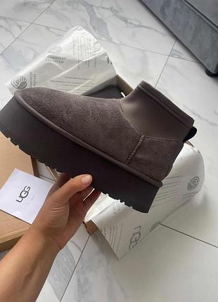 Замшеві чоботи ugg classic mini dipper