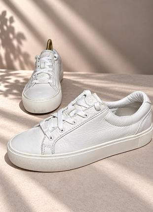 Жіночі шкіряні кросівки ugg zilo білі 38,5 розмір