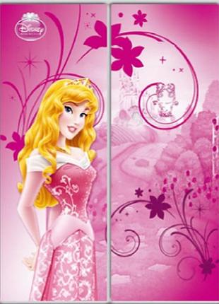 Шафа-купе luxe studio стандарт-1 фотодрук disney-1 1000x2100x600 дводверна (19521)