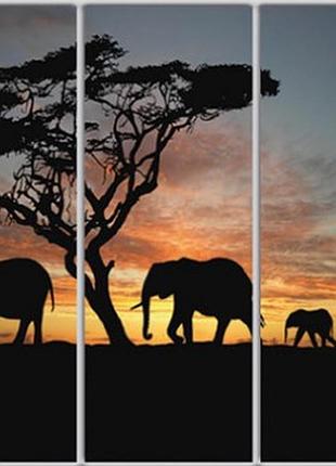 Шафа-купе luxe studio стандарт-1 фотодрук тварини-18 2100x2400x450 тридверна (37374)