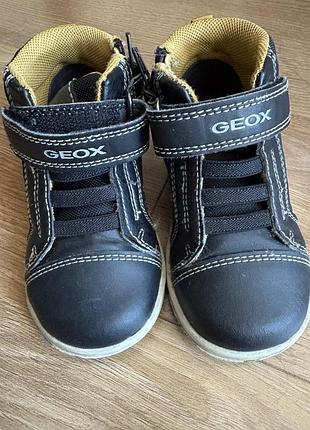 Черевики демісезонні geox 22 2