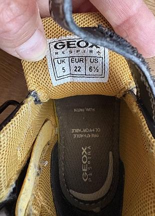 Черевики демісезонні geox 22 6
