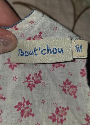 Песочник из тенселя, гипсочник джинсовый 2