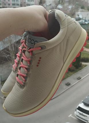 Кроссовки кожаные ecco biom hibrid 2 2