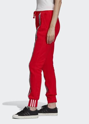 Штани-джоггеры жіночі adidas r.y.v. fm43826 фото