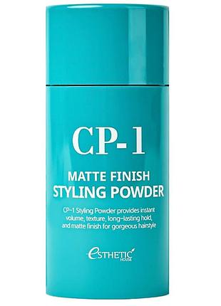 Пудра для прикорневого объема волос esthetic house matte finish styling powder 6 г.