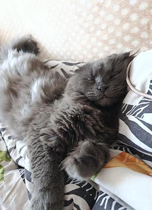 Свитер кофта 4