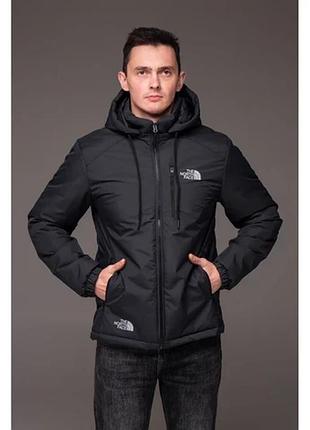 Куртка чоловіча демісезона tnf з капюшоном