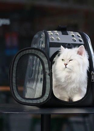 Сумка-переноска для животных - котов,собак 🖤 3