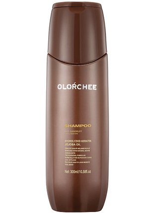 Шампунь против перхоти anti dandruff shampoo olorchee, 300 мл