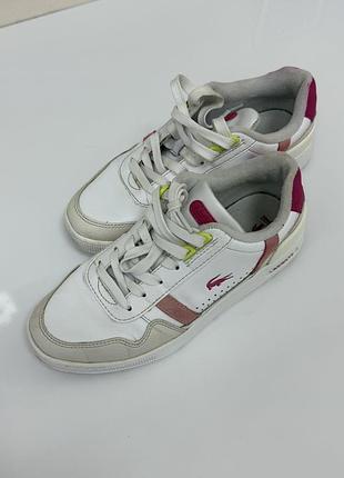 Lacoste кросівки 5