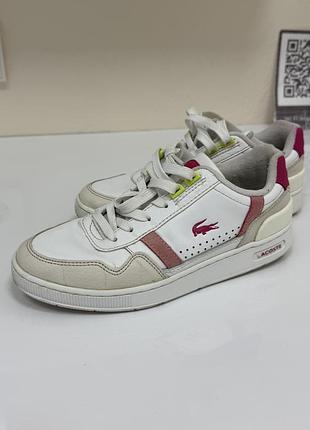 Lacoste кросівки 6