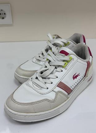Lacoste кросівки 7