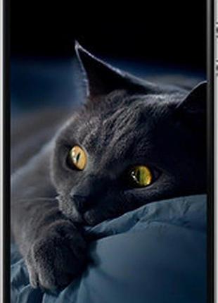 Чехол на iphone 4 дымчатый кот "825t-15-2448"