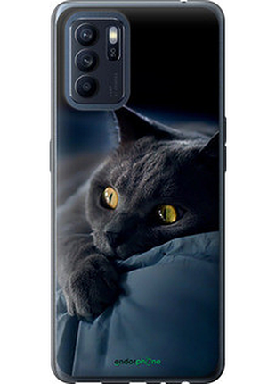Чохол на oppo reno6 z димчастий кіт "825u-2477-2448"