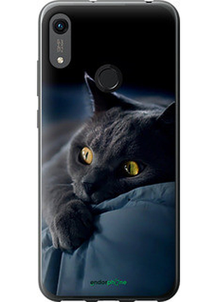 Чохол на huawei y6s димчастий кіт "825u-1871-2448"