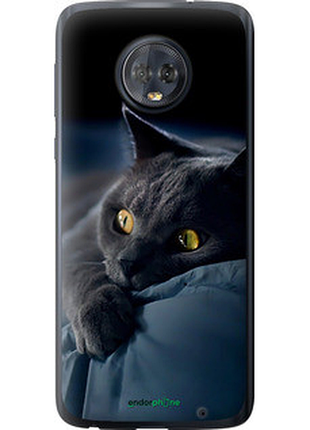 Чехол на motorola moto g6 plus дымчатый кот "825u-976-2448"