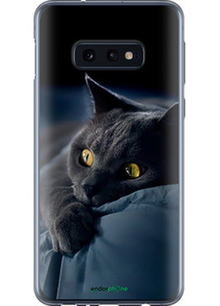Чехол на samsung galaxy s10e дымчатый кот "825u-1646-2448"