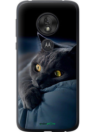 Чохол на motorola moto g7 play димчастий кіт "825u-1656-2448"