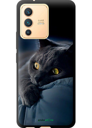 Чохол на vivo v23 димчастий кіт "825b-2642-2448"