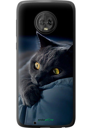 Чохол на motorola moto g6 димчастий кіт "825u-982-2448"
