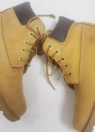 Взуття timberland 5