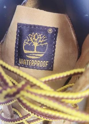 Взуття timberland 10